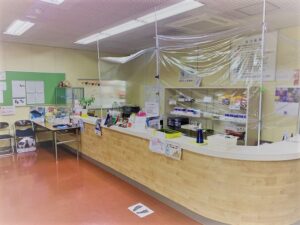 Swimming Coach and Kids