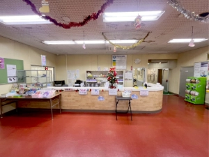 Swimming Coach and Kids